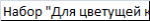 Набор Для цветущей красоты 408113